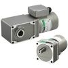 Constant Speed AC Motors & Gear Motors - anh 1